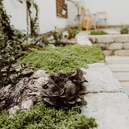 Major11 - Zsolnay Negyed 아파트 *