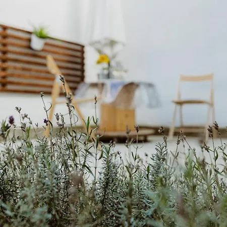 Major11 - Zsolnay Negyed * 페치